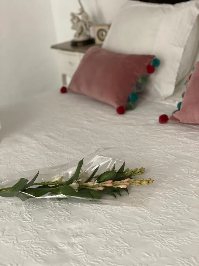 Lujosa Suite Privada En Casa Del S XIX Sanlucar de Barrameda Homestay