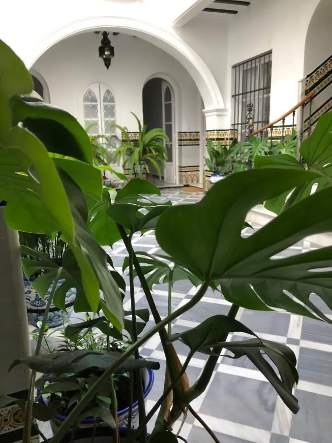 Homestay Lujosa Suite Privada En Casa Del S XIX Sanlucar de Barrameda